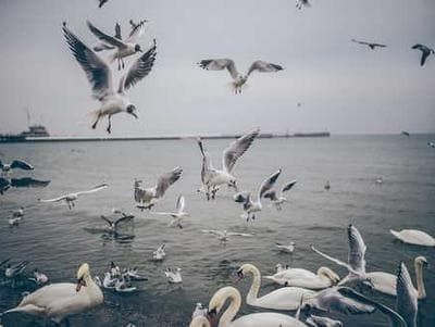 CSS Flexbox Explained